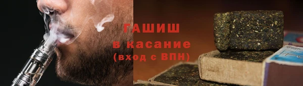 индика Сясьстрой